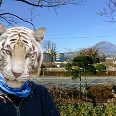 トラキンチームバトルIN東山湖( ☆∀☆)祝砲 2020/12/28 08:00:56