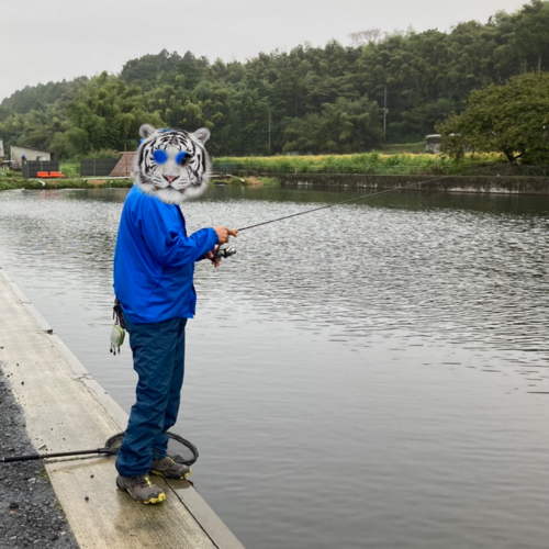 釣三昧( *´艸｀)エリアにバス(*^▽^*)