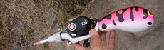 川スモール行って来たよ(^^♪ 2020/02/16 17:47:46