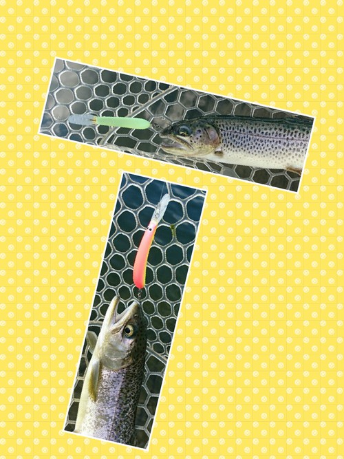 東山湖と河口湖(^◇^) 東山湖と河口湖(^◇^)