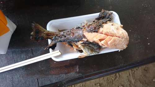 10/9鯉釣り10/10FA☆Jオープン二日目