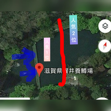 GW後半戦だよ！醒ヶ井養鱒場遠征と言う名の出張！Σ（￣□￣;） 2019/05/02 21:48:30