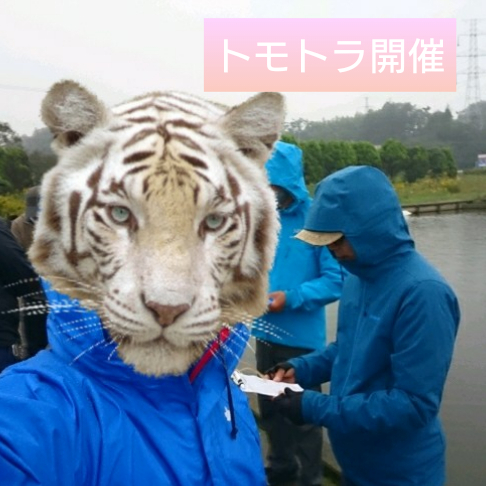 11/3は座間でトモトラ開催です(^^♪