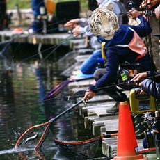 ドットコムＮＯＩＫＥ戦に出て来たよ（＾◇＾） 2021/11/08 13:13:34
