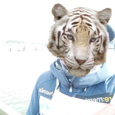 ドットコムａｍａｚ座間戦(^^♪結果（続編） 2022/02/01 11:40:48