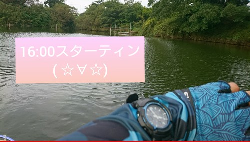出張帰りのホームプカプカです(*^▽^*)
