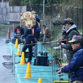 ＮＯＩＫＥドットコム戦の準備（＾◇＾）
