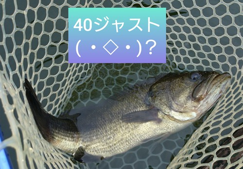 出張帰りのホームプカプカです(*^▽^*)