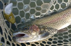 1/13座間養魚場チャレンジ(^^♪ 2019/01/15 13:27:57