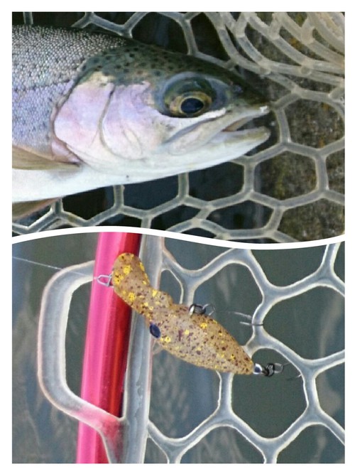 1/13座間養魚場チャレンジ(^^♪
