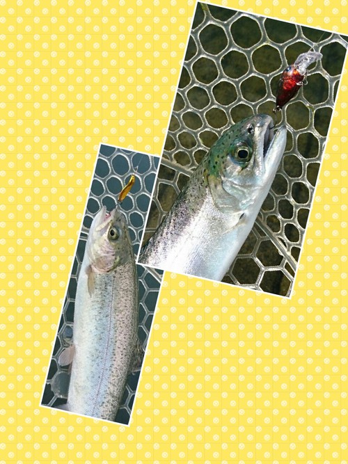 東山湖と河口湖(^◇^) 東山湖と河口湖(^◇^)