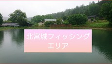 出張移動日はお魚釣りです( ☆∀☆) 2020/06/27 00:40:52
