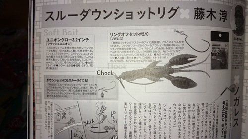 琵琶湖野郎！！