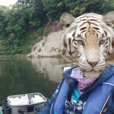 ゴールデンウイークのたいがーーーちゃんです(*^▽^*) 2022/05/06 09:26:28