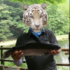 夏の補強だよ(^^♪