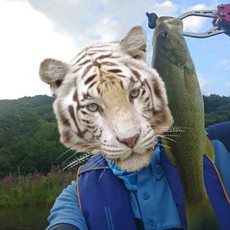F.B.I秋元湖戦プラだよ( ☆∀☆) 2019/09/01 01:50:33