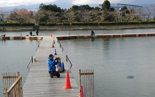 トラキン地方戦ティモンカップに出てきたよ( ☆∀☆)