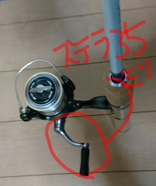 お花見がてらNOIKEプラ