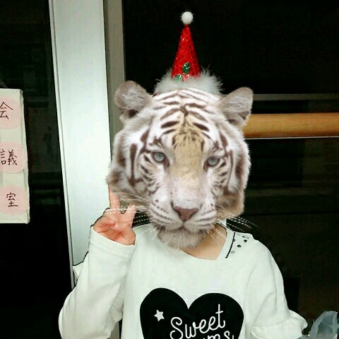 クリスマスやら墓参りやら（＾◇＾）