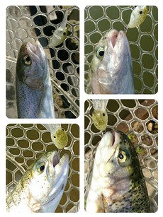 GW補強（＾◇＾） 2018/04/26 14:46:30