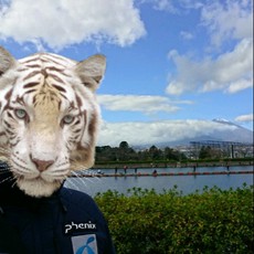 TIMONCUP申込んできたよ(^^♪ 2020/11/24 14:34:29
