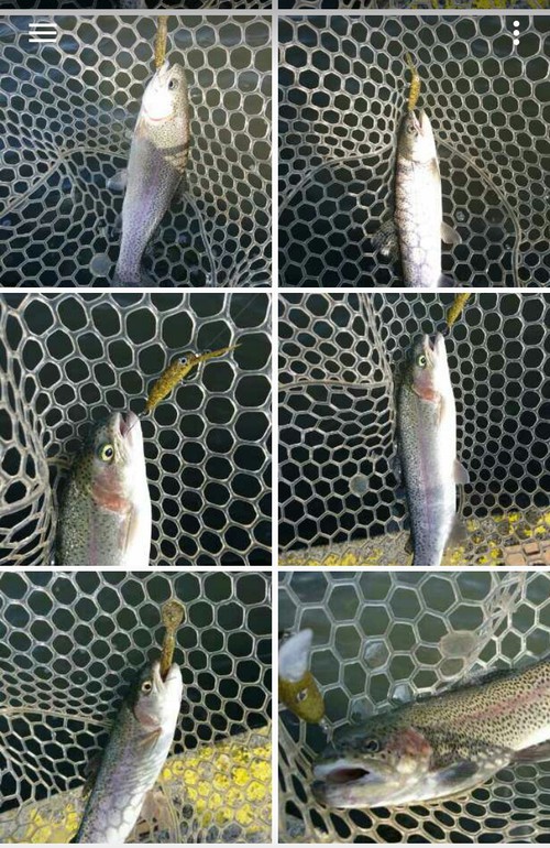 1/13座間養魚場チャレンジ(^^♪