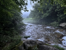 Season in the Stream. 2024/07/14 18:18:00