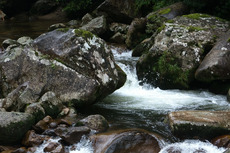 Season in the Stream is Over. 2024/09/01 12:28:28