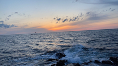 携帯海に落とす 2020/06/15 22:57:18
