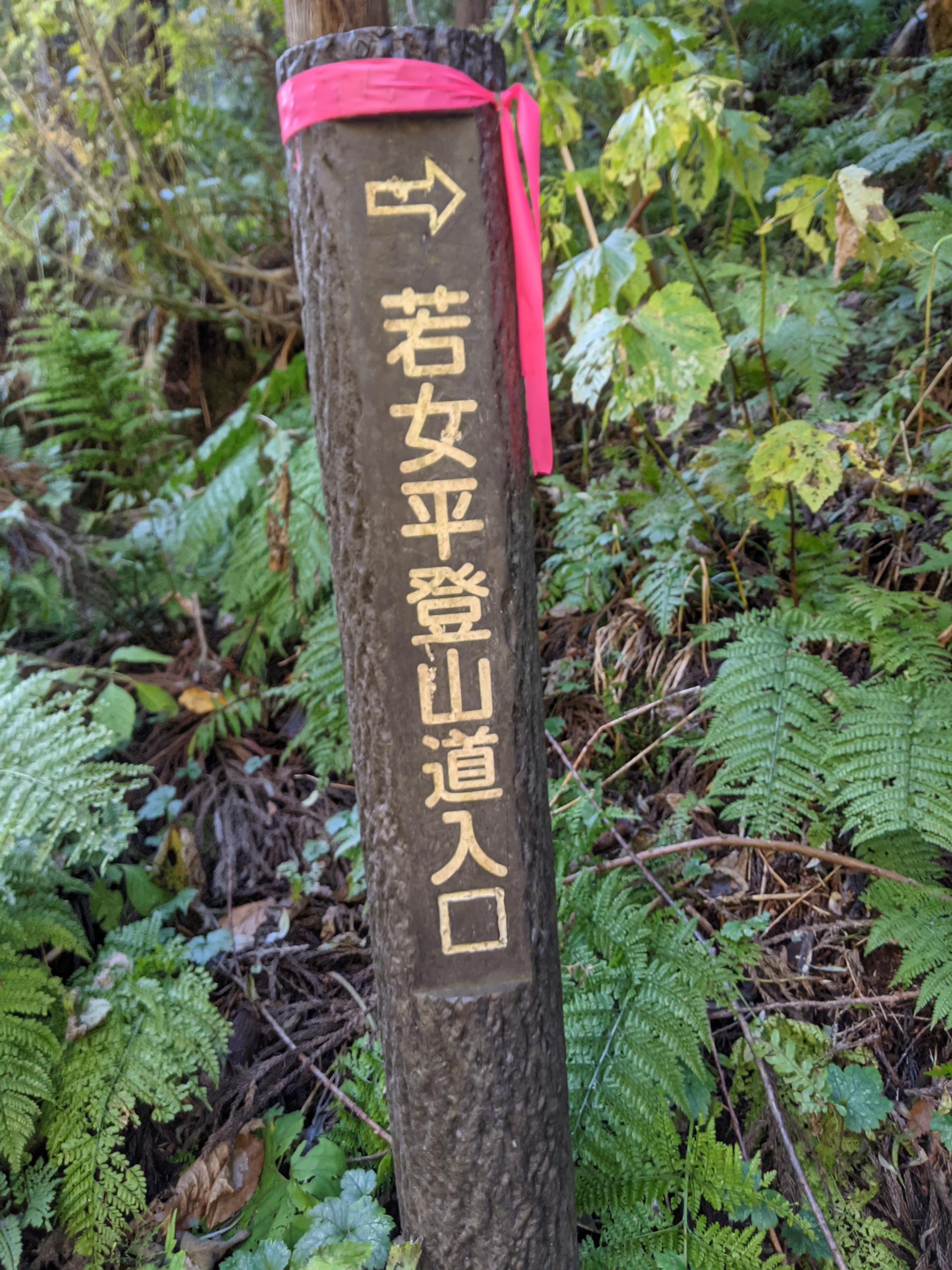 西吾妻山