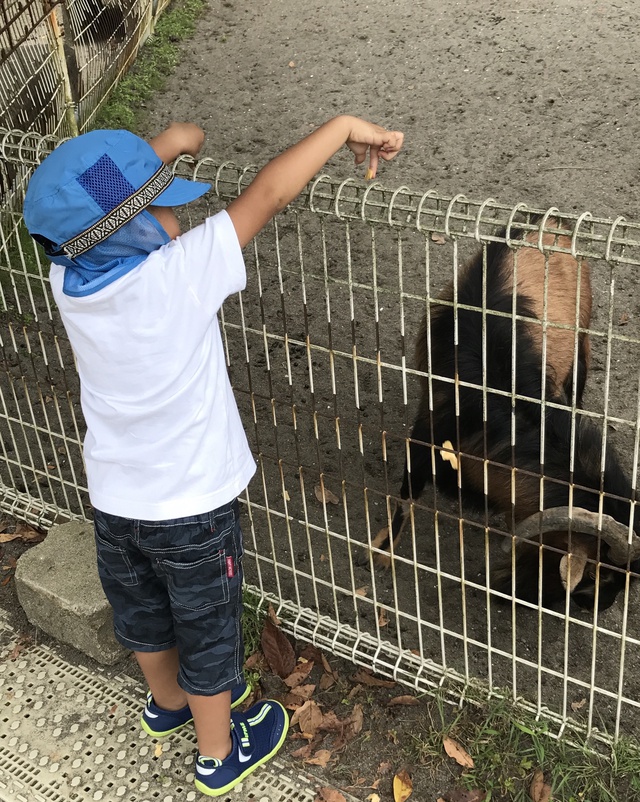 夢．風の里アグリランドえいで夏キャンプ