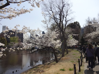 アメ横～上野公園～浅草寺～スカイツリー