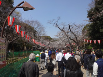 アメ横～上野公園～浅草寺～スカイツリー