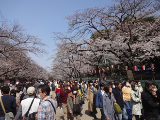 アメ横～上野公園～浅草寺～スカイツリー