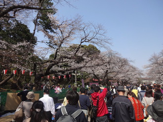 アメ横～上野公園～浅草寺～スカイツリー