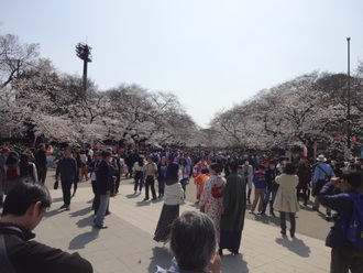 アメ横～上野公園～浅草寺～スカイツリー