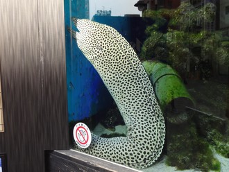 アメ横～上野公園～浅草寺～スカイツリー