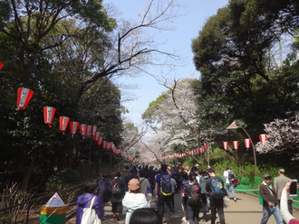 アメ横～上野公園～浅草寺～スカイツリー