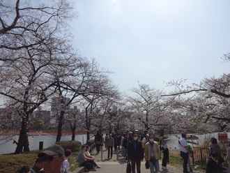 アメ横～上野公園～浅草寺～スカイツリー