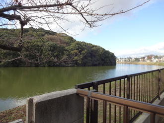 年末年始休暇初日 堺市：仁徳天皇陵古墳を拝みたい