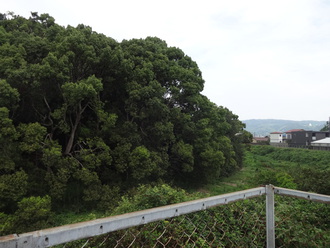 羽曳野古市古墳、マトモな地図も持たず付け焼き刃の知識で歩く