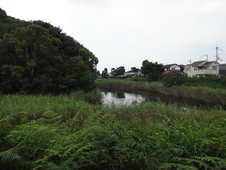羽曳野古市古墳、マトモな地図も持たず付け焼き刃の知識で歩く