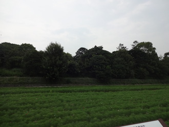 羽曳野古市古墳、マトモな地図も持たず付け焼き刃の知識で歩く