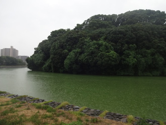 羽曳野古市古墳、マトモな地図も持たず付け焼き刃の知識で歩く