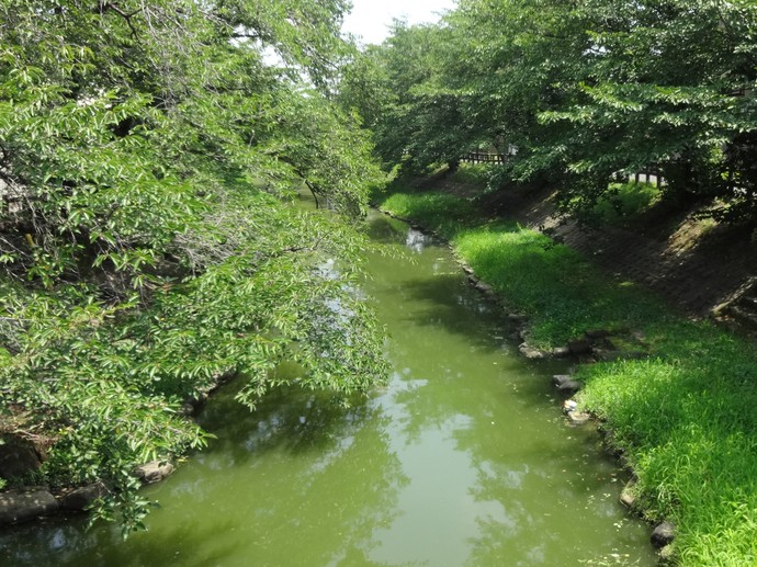 埼玉古墳群、さきたま史跡の博物館
