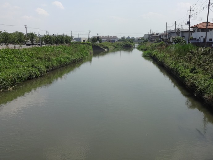 埼玉古墳群、さきたま史跡の博物館