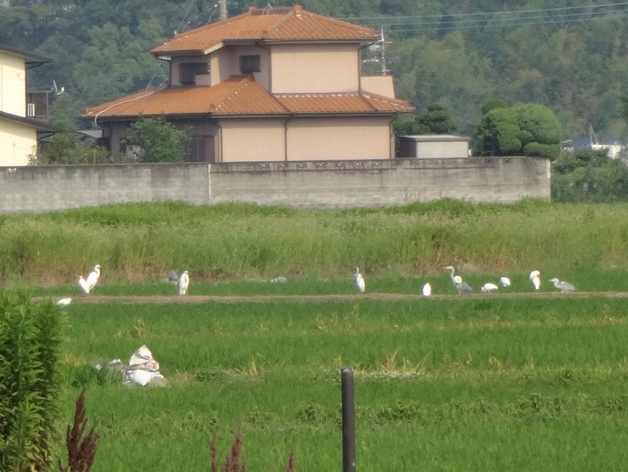 埼玉古墳群、さきたま史跡の博物館