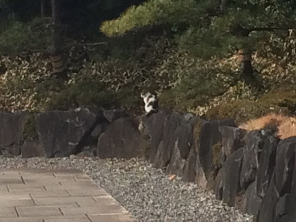 ふら～っと幕張まで行って来た