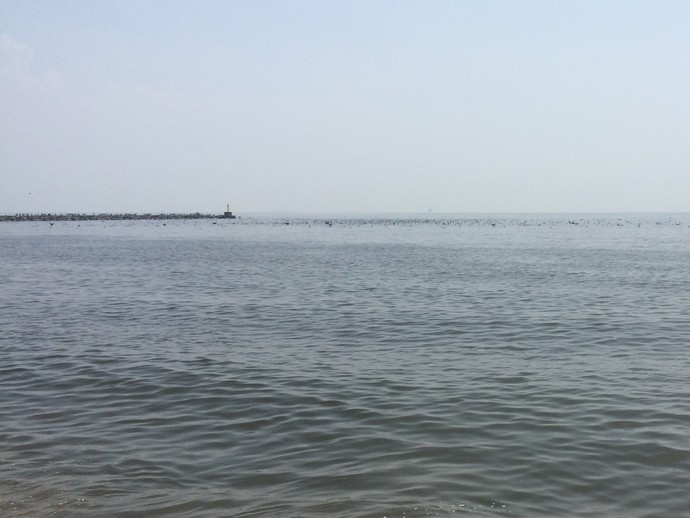幕張の浜