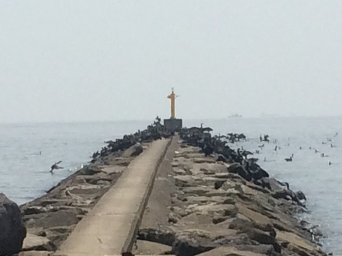 幕張の浜